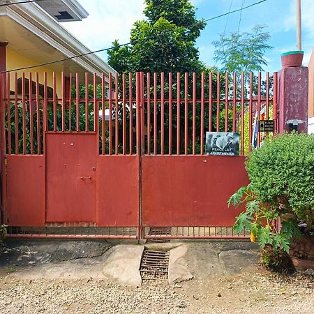 Peace Lily Studio Apartments Panglao Exterior foto