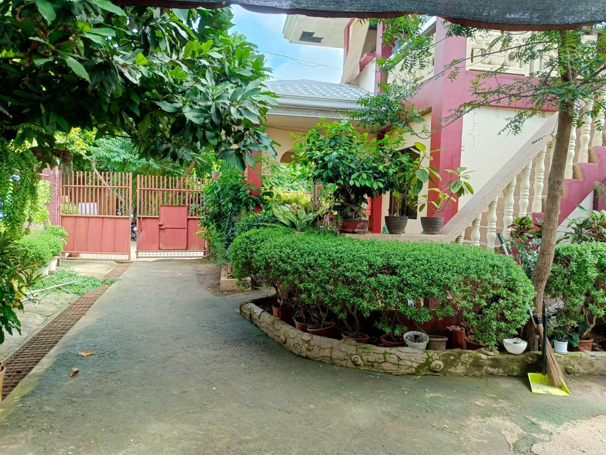 Peace Lily Studio Apartments Panglao Exterior foto