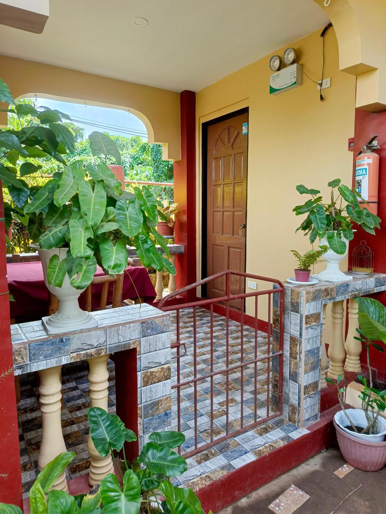 Peace Lily Studio Apartments Panglao Cameră foto