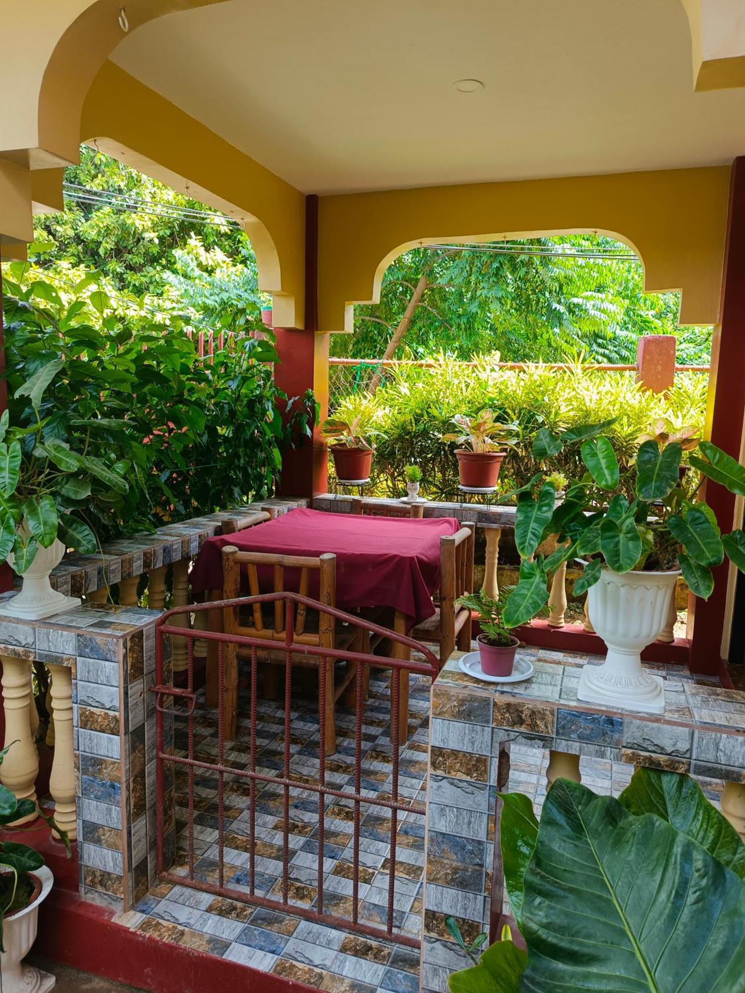 Peace Lily Studio Apartments Panglao Cameră foto