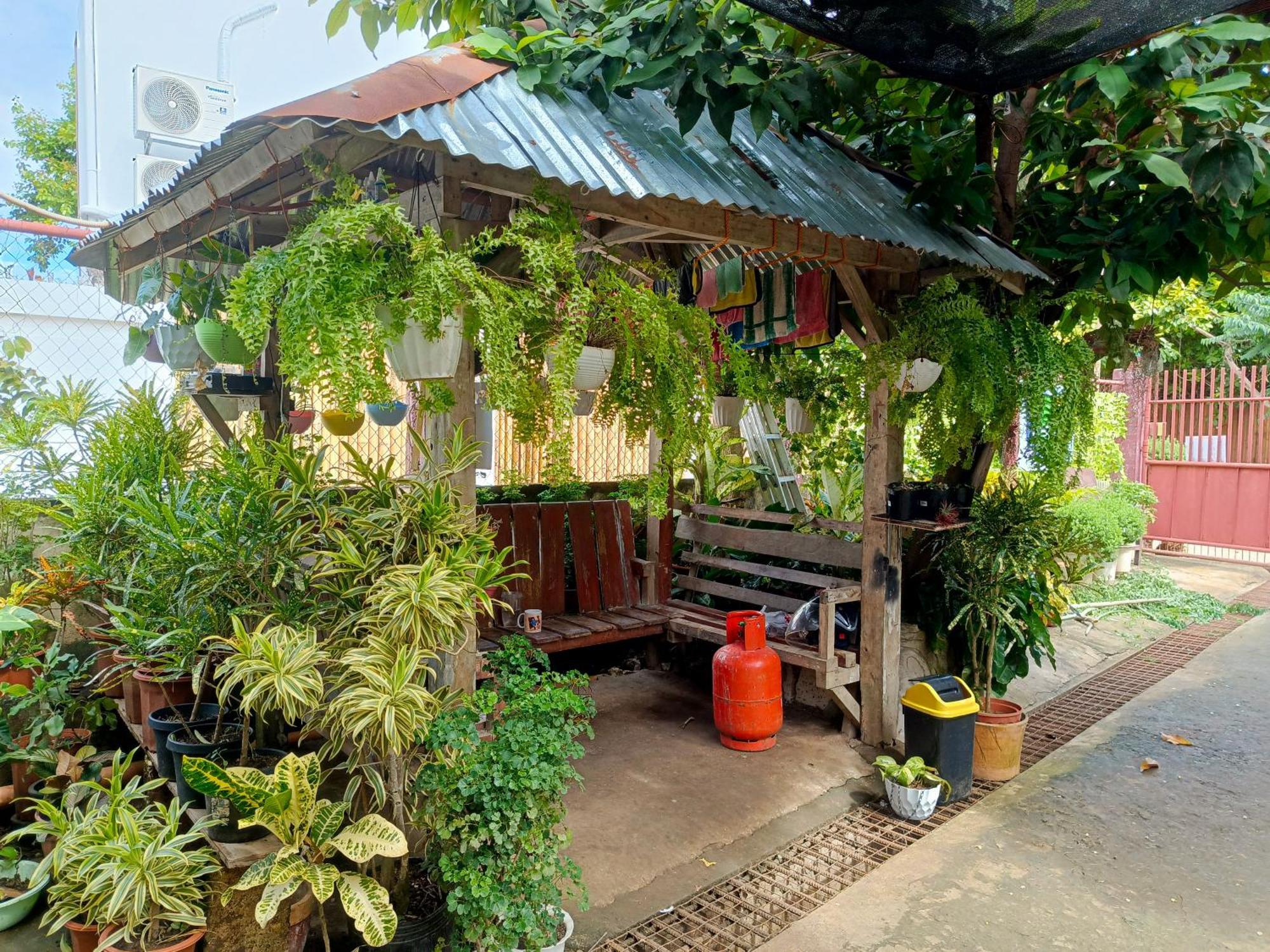 Peace Lily Studio Apartments Panglao Exterior foto